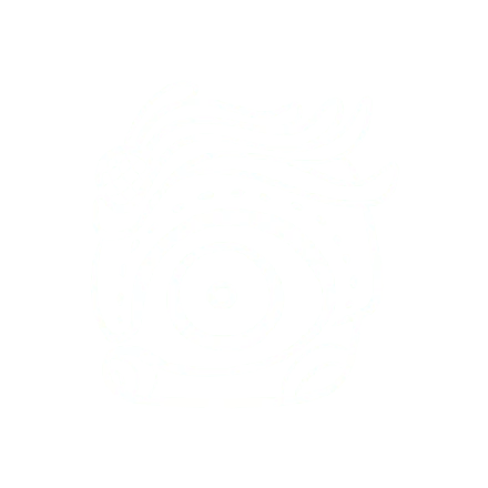 Xata Invocation