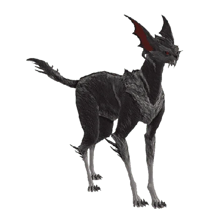 Vasca Kavat