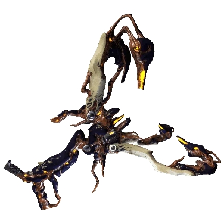 Paracyst