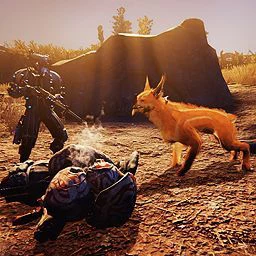 Hunter Recovery