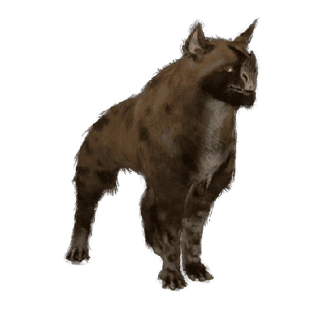 Raksa Kubrow