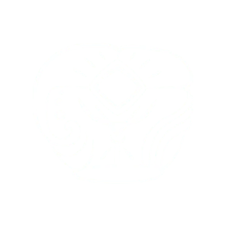 Ris