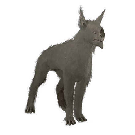 Sunika Kubrow