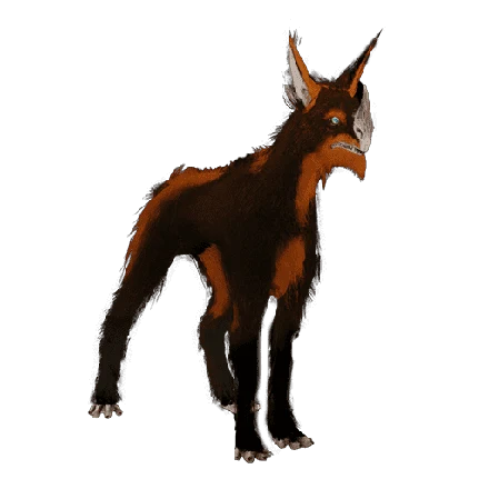Chesa Kubrow