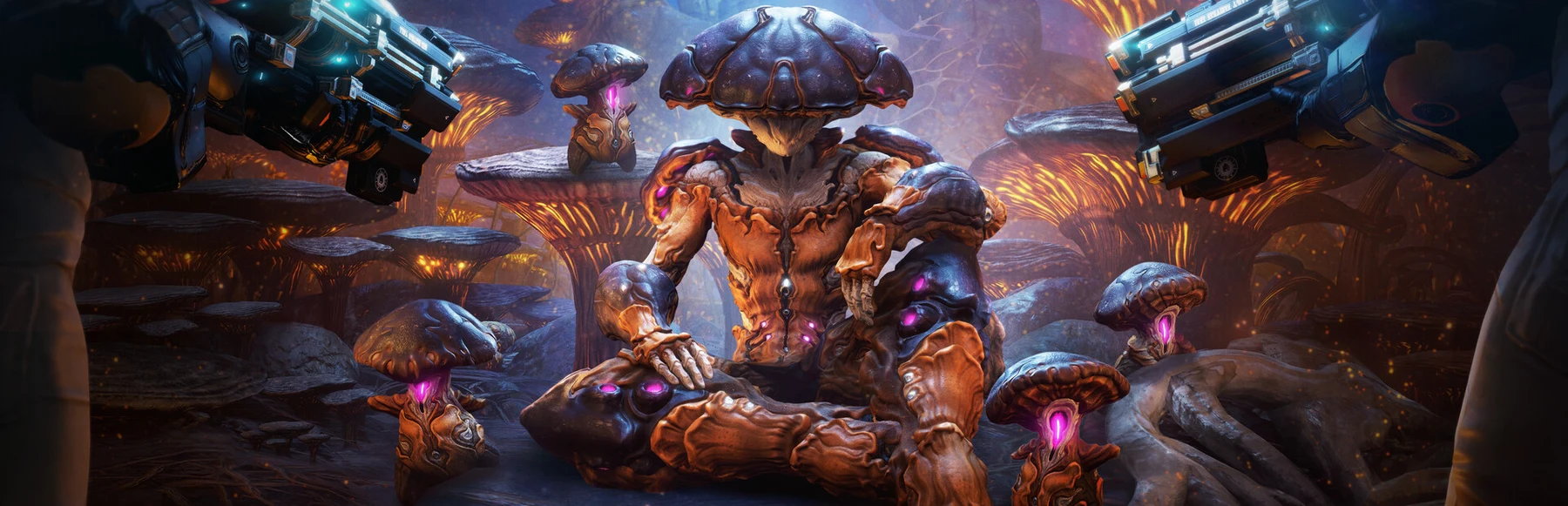 Warframe official game artwork