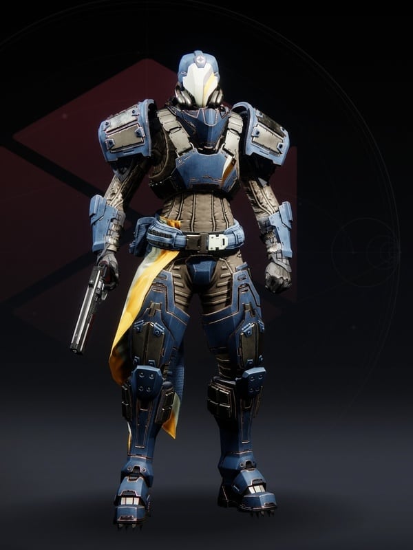 Braytech Suit / World Drop — Destiny 2