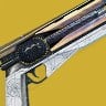 Sunshot — Destiny 2