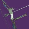 Arsenic Bite-4b — Destiny 2