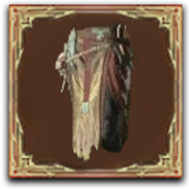 Blood Moon Breeches / (Pants) — Diablo IV