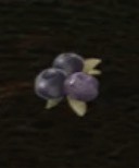 / Ripened Blueberry — Dragon's Dogma 2
