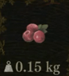 / Raspberry — Dragon's Dogma 2