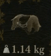 Redwolf Cape — Dragon's Dogma 2