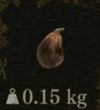 / Rotten Fig — Dragon's Dogma 2