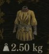 Chanter's Half Robe — Dragon's Dogma 2