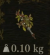 / Goldthistle — Dragon's Dogma 2