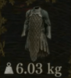 Adept's Coat — Dragon's Dogma 2