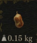 / Rotten Quince — Dragon's Dogma 2