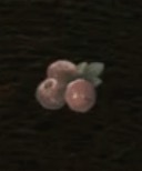 / Ripened Raspberry — Dragon's Dogma 2