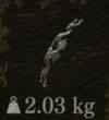 Grianmhar — Dragon's Dogma 2