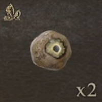 / Misshapen Eye — Dragon's Dogma 2