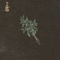 / Greenwarish — Dragon's Dogma 2