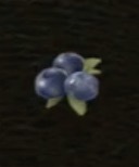 / Blueberry — Dragon's Dogma 2