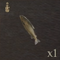 / Rotten Shorefish — Dragon's Dogma 2