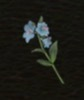 / Moonglow — Dragon's Dogma 2