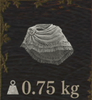 Voyager's Cape — Dragon's Dogma 2