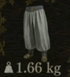 Scholar's Breeches — Dragon's Dogma 2