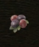/ Cranberry — Dragon's Dogma 2