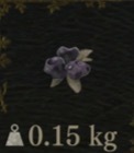 / Rotten Blueberry — Dragon's Dogma 2