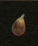 / Ripened Fig — Dragon's Dogma 2