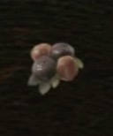 / Ripened Cranberry — Dragon's Dogma 2