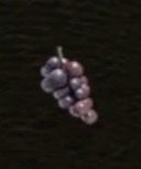 / Grapes — Dragon's Dogma 2