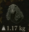 Howling Hood — Dragon's Dogma 2