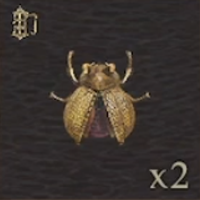 / Golden Trove Beetle — Dragon's Dogma 2