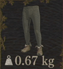 Pilgrim's Tights — Dragon's Dogma 2