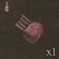 / Aged Beast-Steak — Dragon's Dogma 2