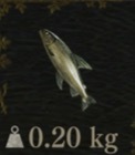 / Aged Tideswimmer — Dragon's Dogma 2