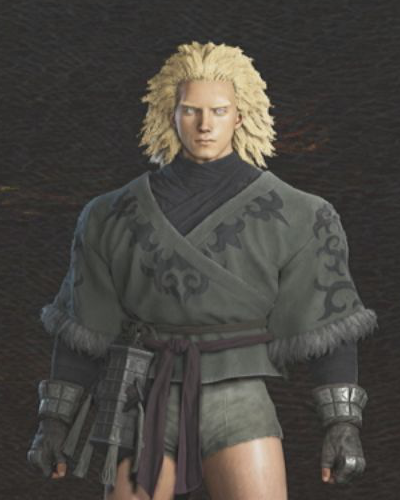 Snowraven Vest — Dragon's Dogma 2