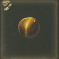 / Tiger Eye — Dragon's Dogma 2