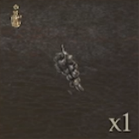 / Rotten Grapes — Dragon's Dogma 2
