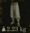 Neophyte's Hosen — Dragon's Dogma 2