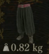 Journeyer's Sirwal — Dragon's Dogma 2