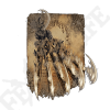/ Beast Claw — Elden Ring