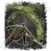 / Ash of War:Poison Moth Flight — Elden Ring