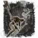 / Ash of War:Phantom Slash — Elden Ring