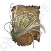 / Pest Threads — Elden Ring