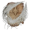 / Pest-Thread Spears — Elden Ring